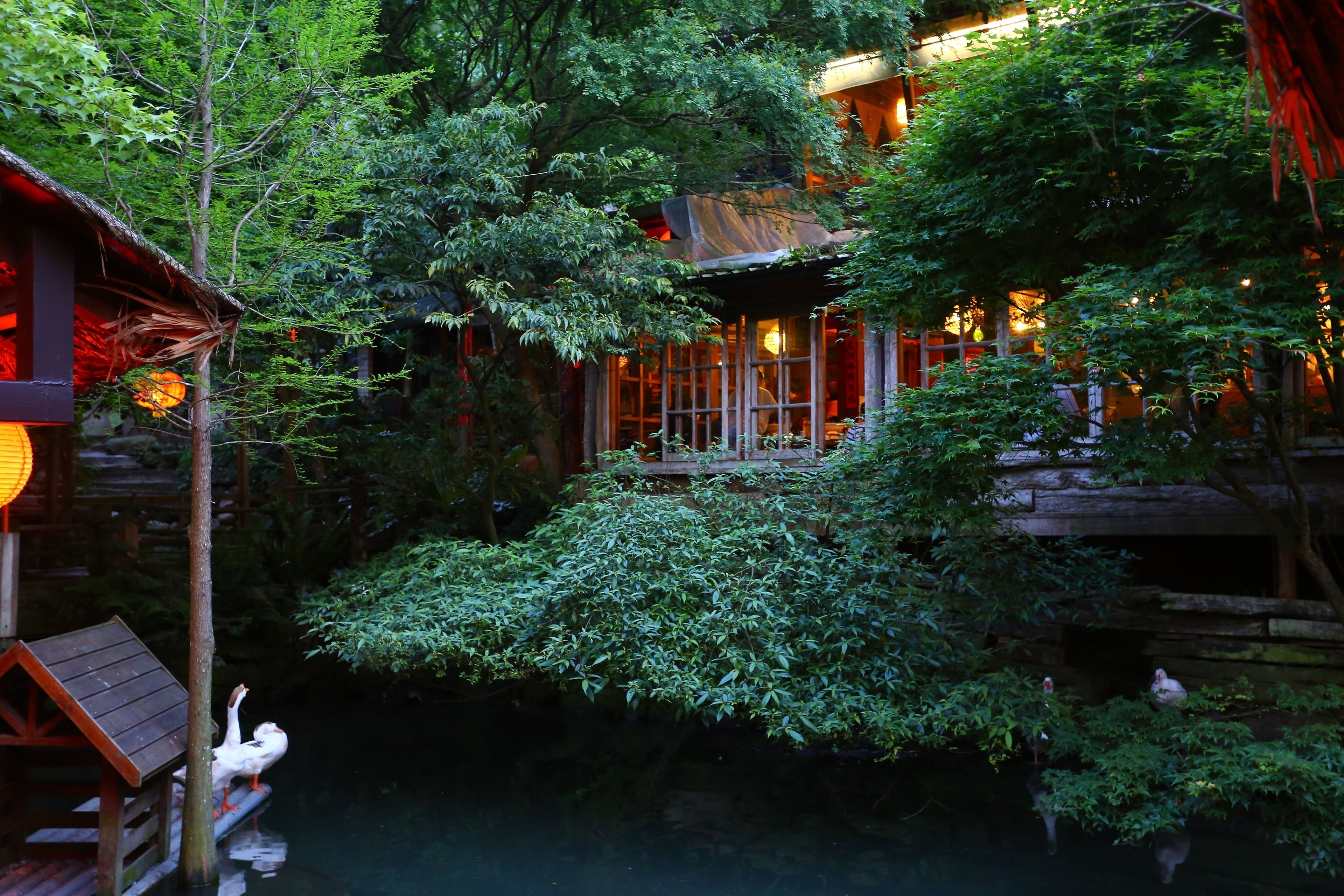 A traditional wooden building with a thatched roof, surrounded by lush greenery and a pond.