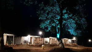 A row of tents with white canopies and a large tree in the center.