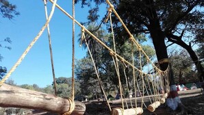 A rope swing set up between trees in a park.