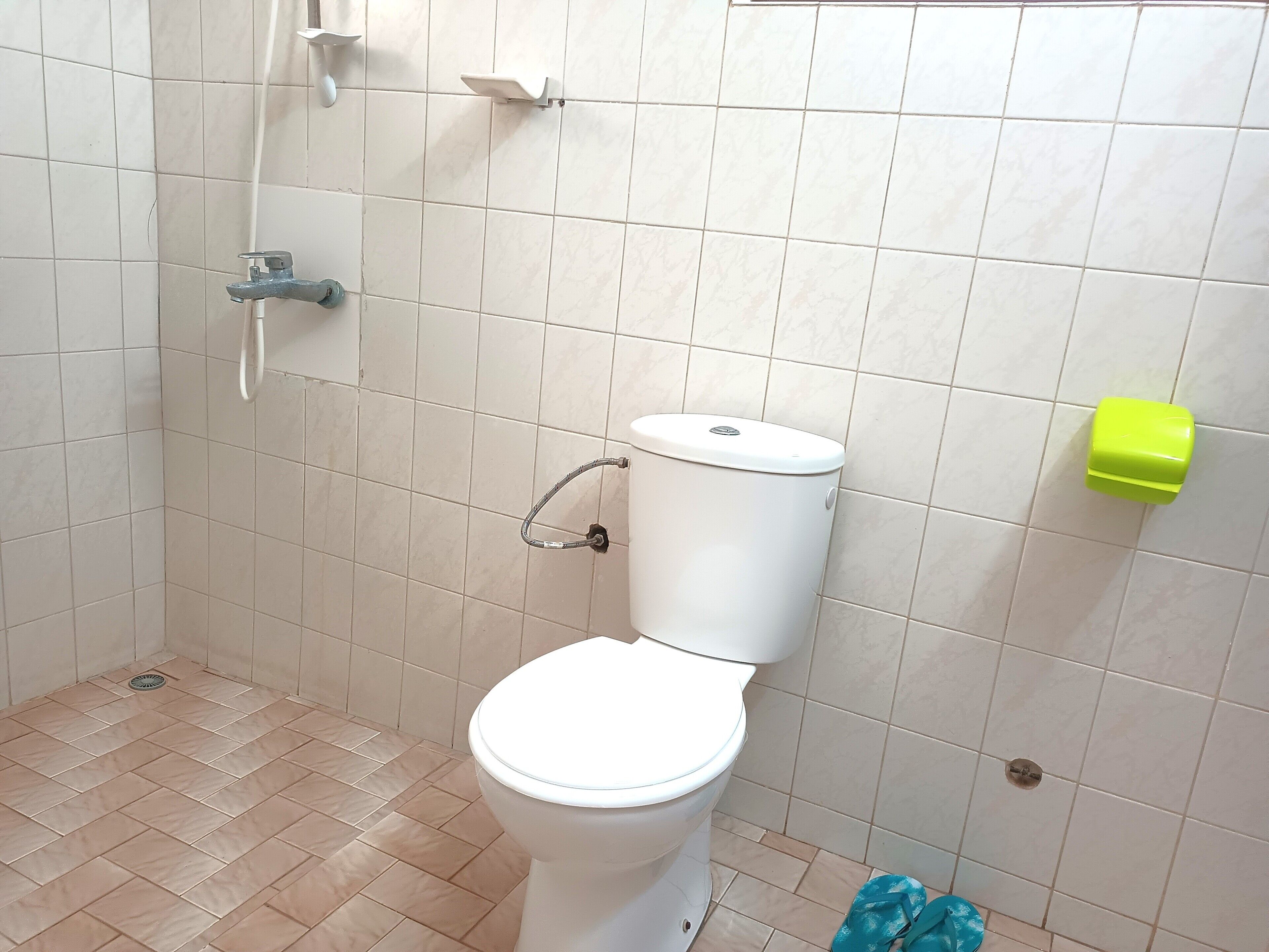 A small bathroom with a toilet, a shower, and a toilet paper holder.