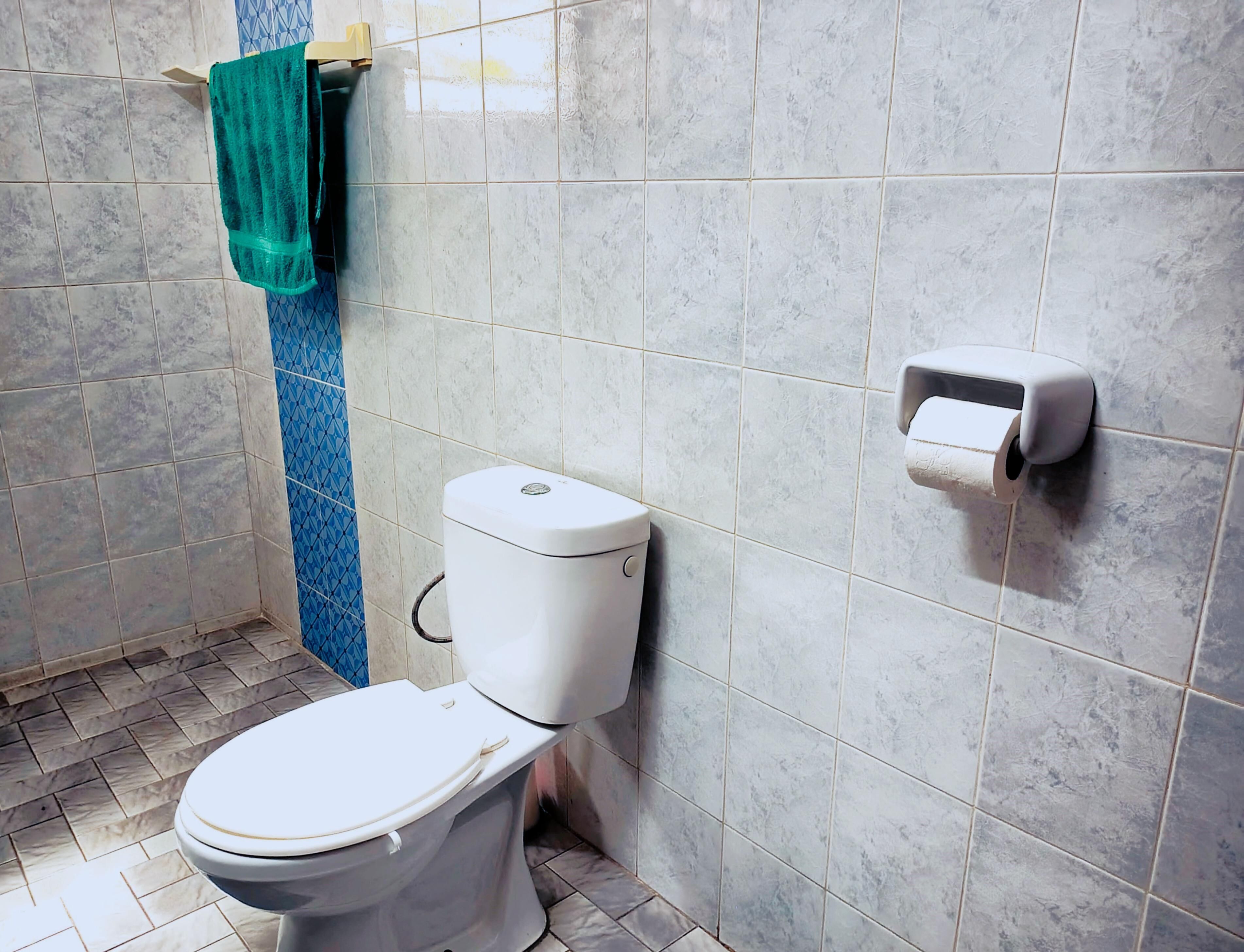 Un baño con inodoro, toallero con toalla y dispensador de papel higiénico.