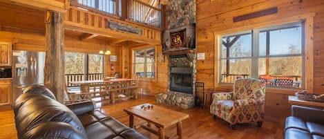 TV connectée, cheminée, jeux vidéo, lecteur de DVD