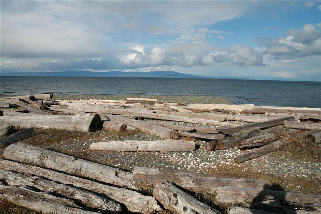 10 Best Vacation Rentals On The Qualicum Beach, Canada Updated 2024