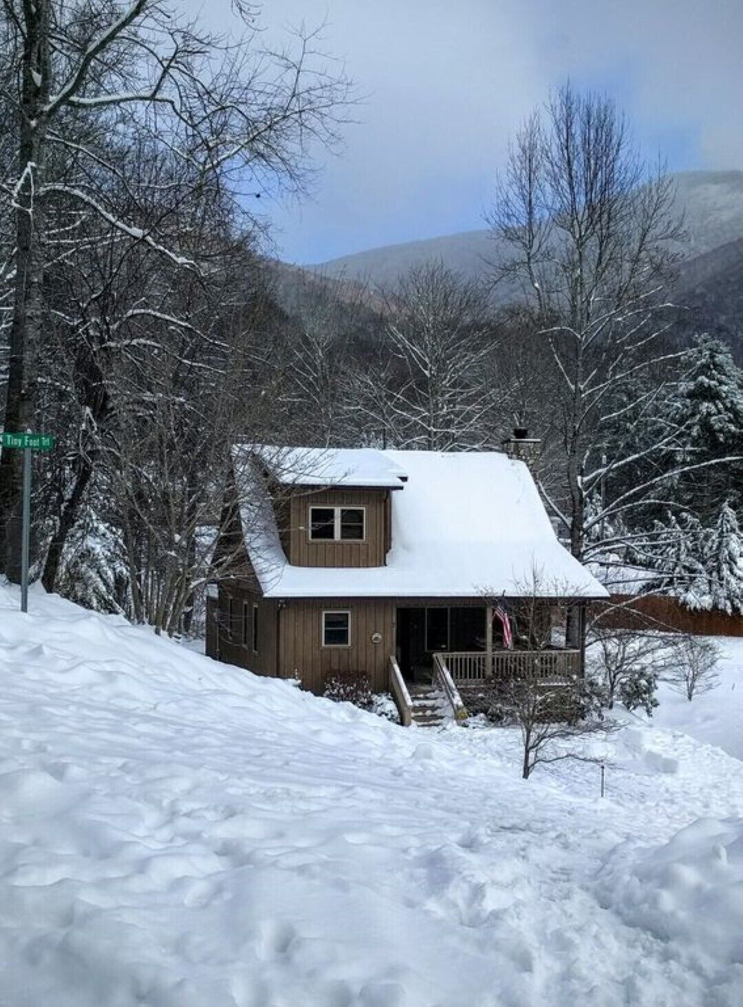 A two-story wooden cabin with a snow-covered roof, surrounded by bare trees and a mountainous backdrop.