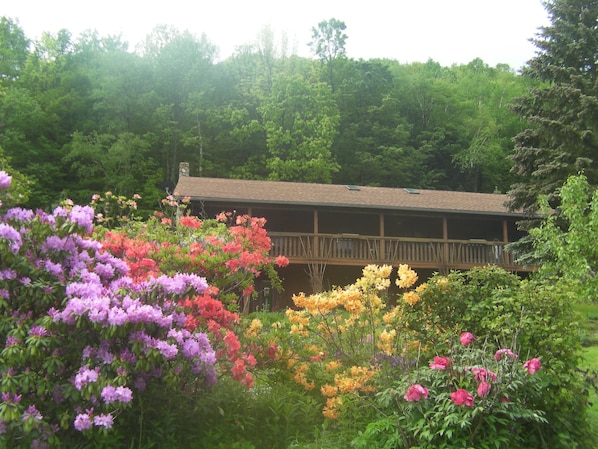 A wooden cabin with a balcony, surrounded by lush greenery and vibrant flowers. - Beautiful Getaway - Reynolds Farm Lodge (Little Marsh)