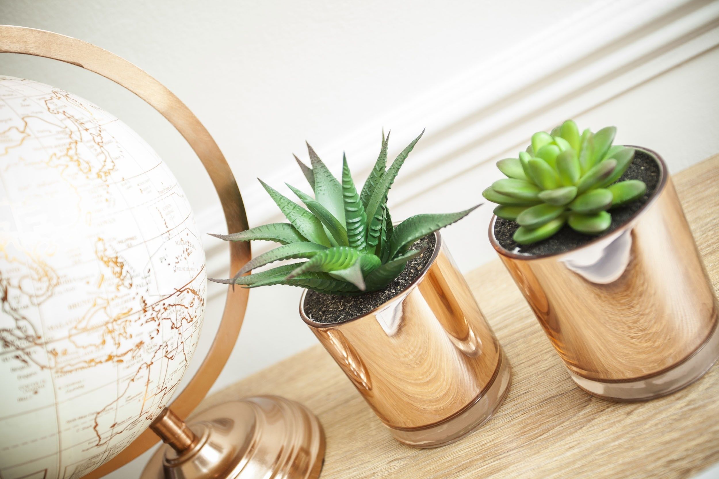 A globe and two potted plants on a wooden surface.