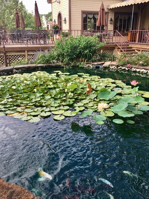 Parco della struttura