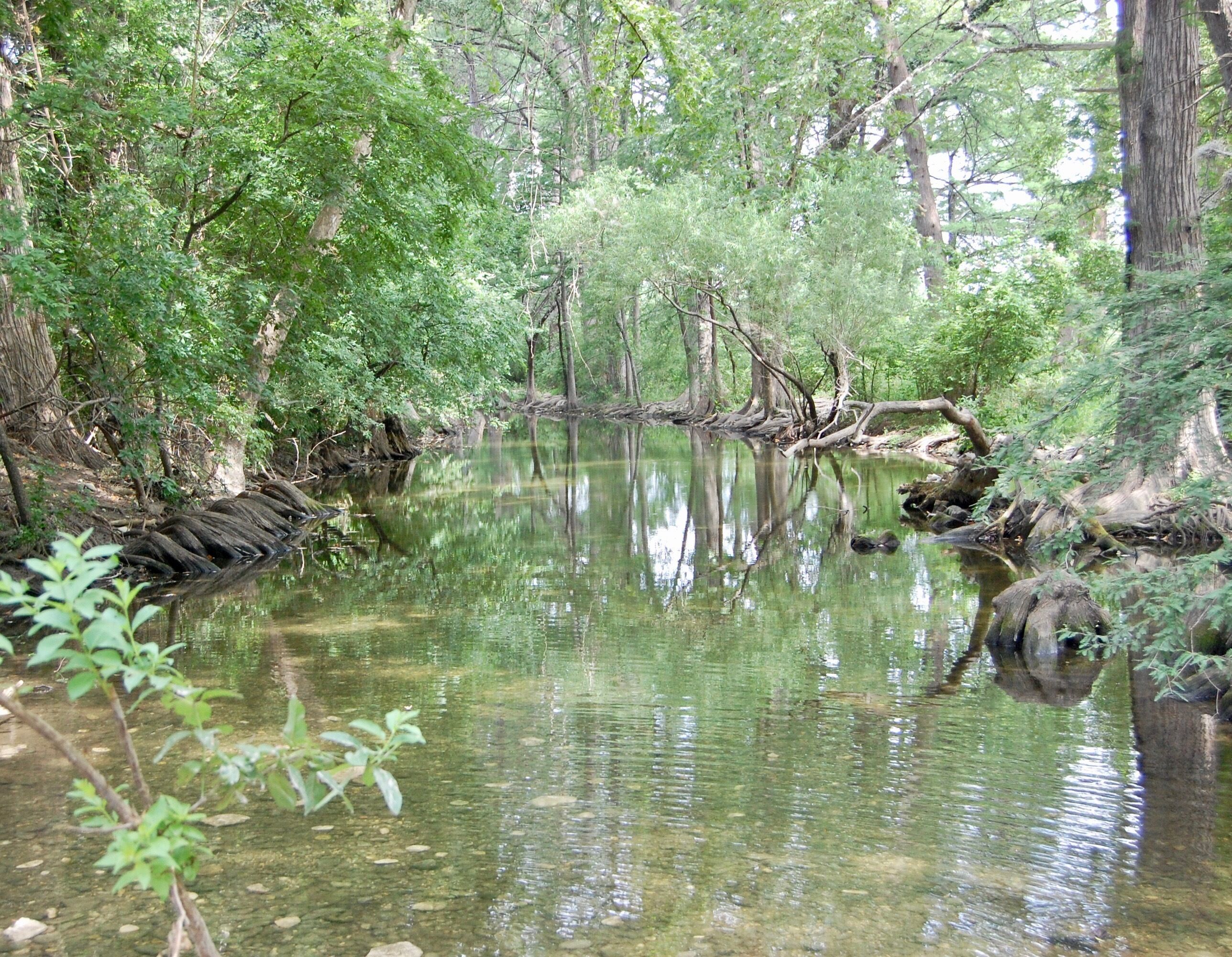 Cibolo Nature Center - Miles of Trails, Picnicking, Birding & Learning Center.
