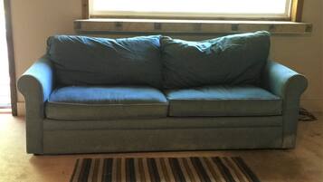 TV, caminetto, libri, impianto stereo