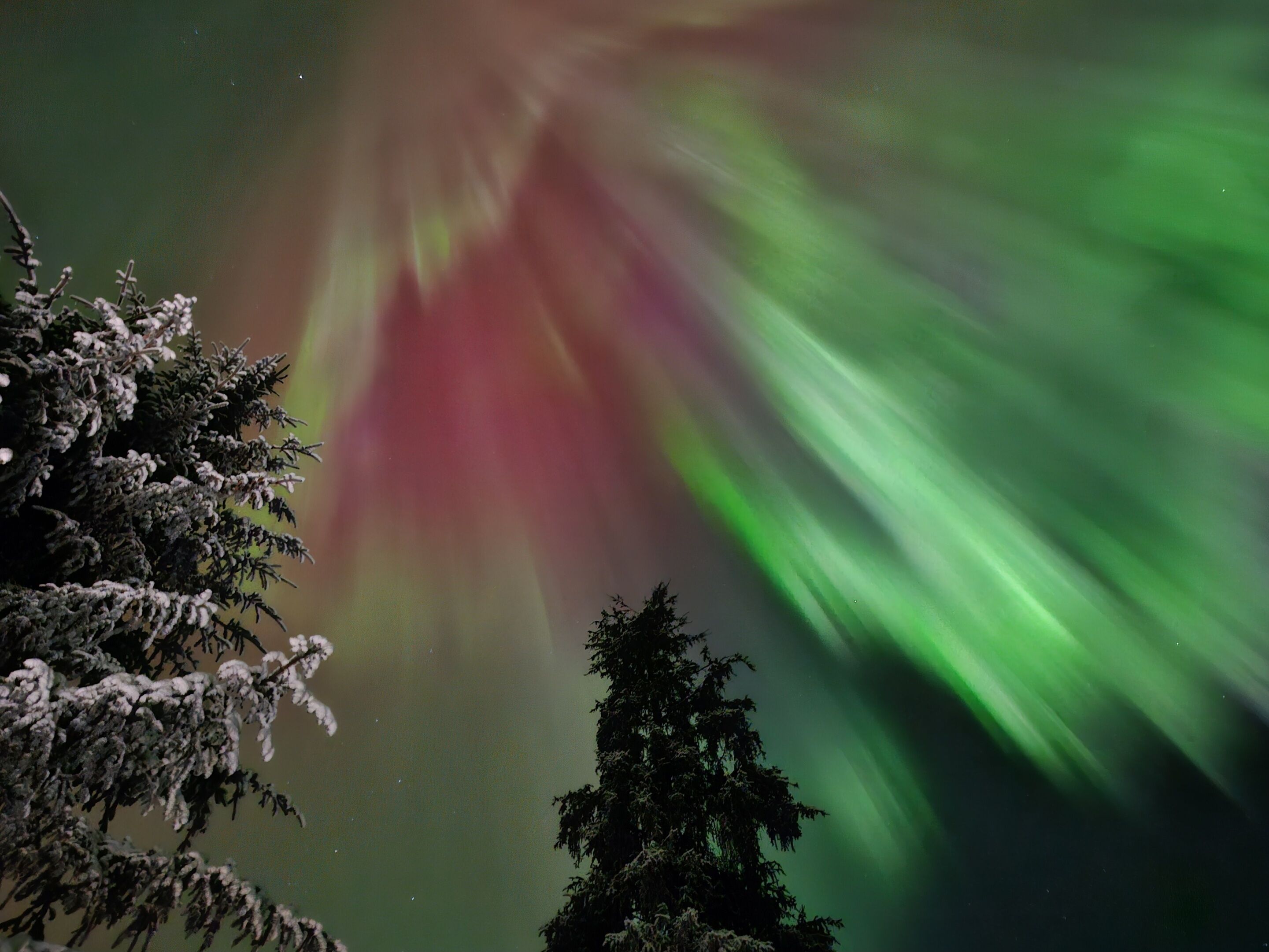 A night sky with the Northern Lights.