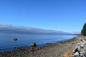 Plage à proximité, chaises longues, serviettes de plage