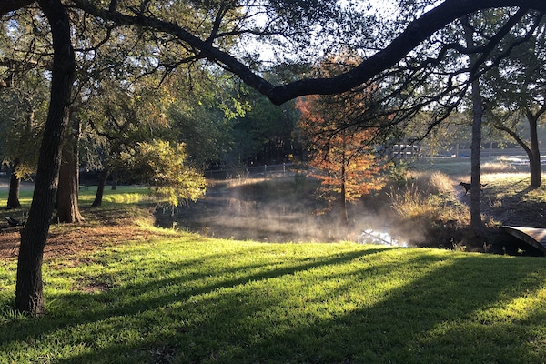 Stream flows through the property