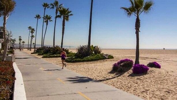 A beachside walkway with palm trees and purple flowers, leading to the beach. - Balboa Back · Luxury Remodel Steps to Beach & Bay (Newport Beach)