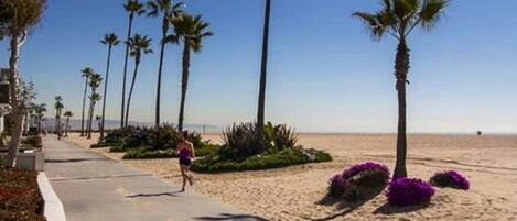 بالقرب من الشاطئ