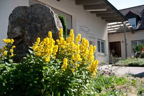 Exterior - Weingut & Gästehaus Felshof (Sommerhausen)