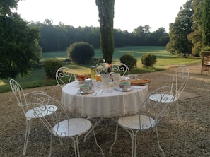 Free daily continental breakfast  - Château de Matel (Roanne)