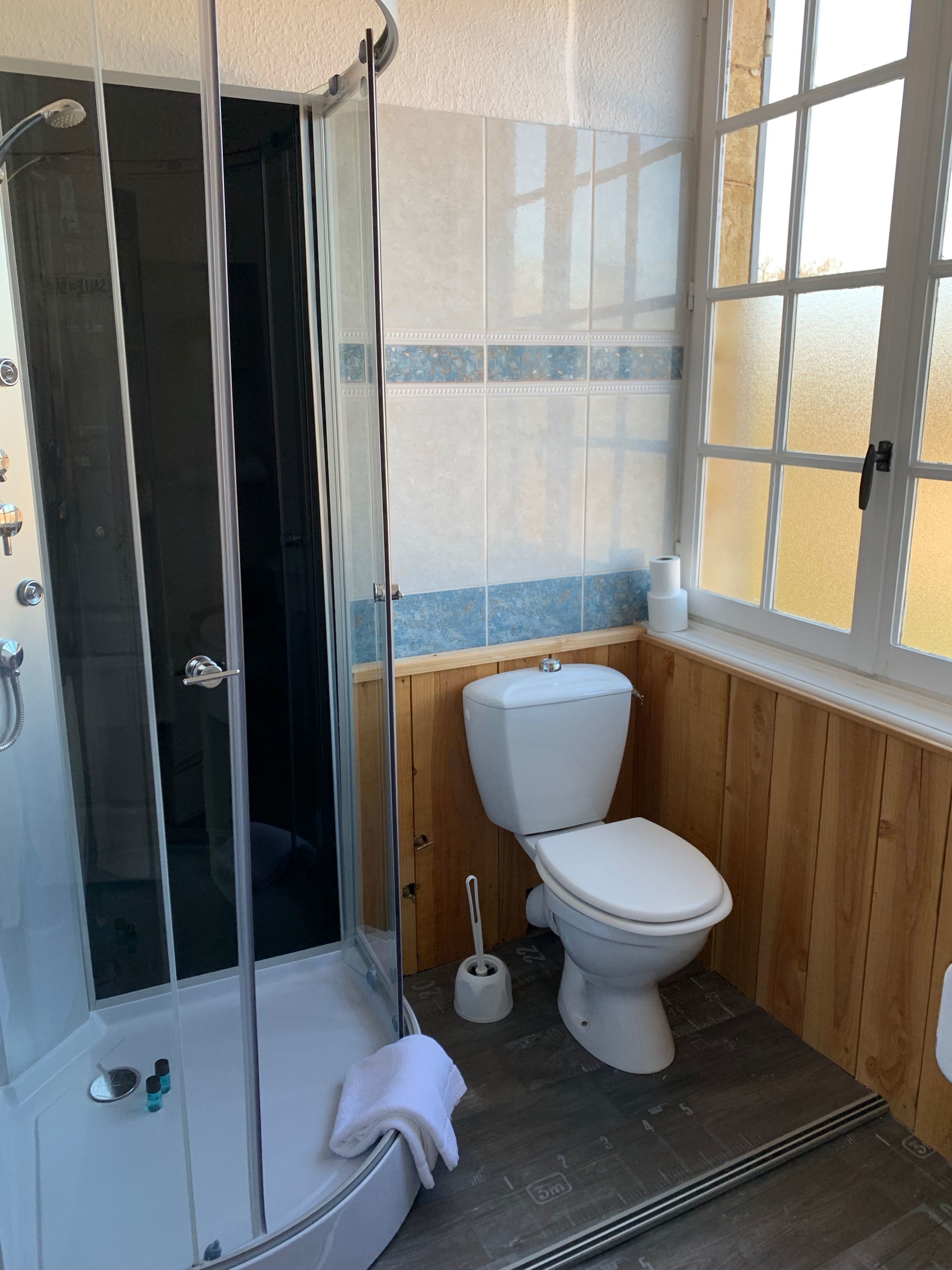 Een badkamer met een douchecabine van glas, een toilet en een raam.