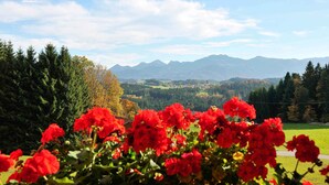 A view of mountains in the distance with a foreground of red flowers. - Lamplhof (Rimsting)