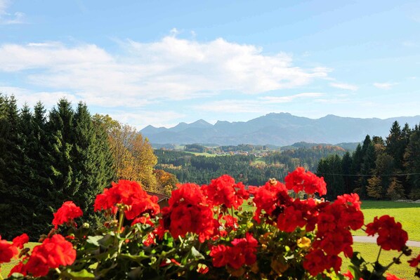 A view of mountains in the distance with a foreground of red flowers. - Lamplhof (Rimsting)