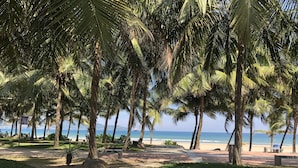 A beach with palm trees, a sandy path, and a bench. - Oasis Hotel & Apartment (Da Nang)