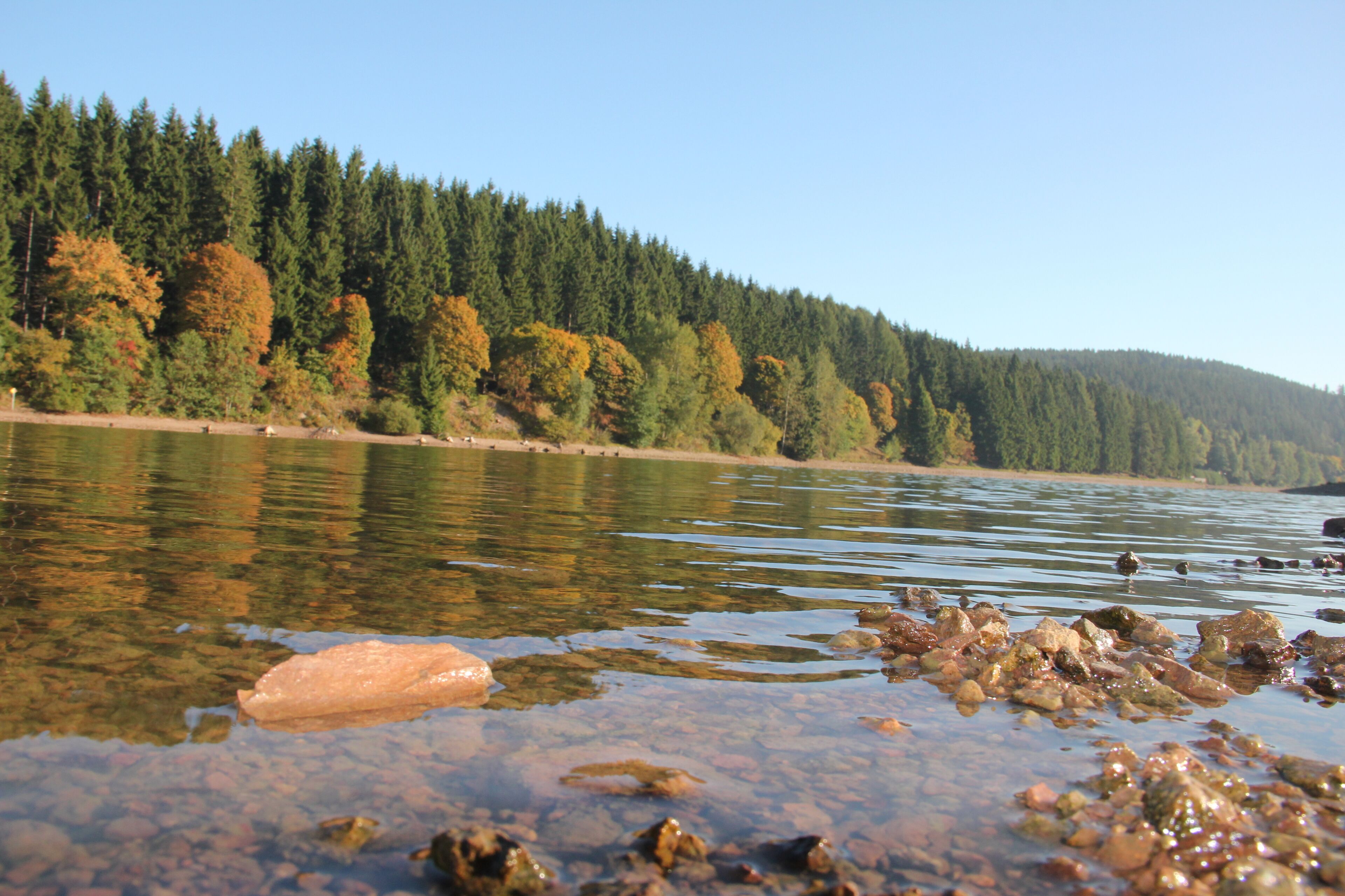 A clear lake with visible rocks and trees in the background.