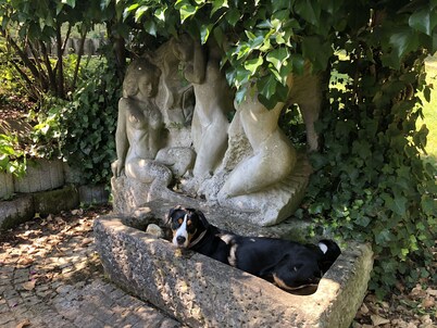 Haus Am Wald