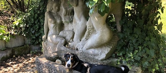 Haus Am Wald