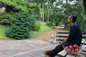 Jardim