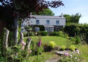 Front of property - Vine Cottage - B&B (Par)