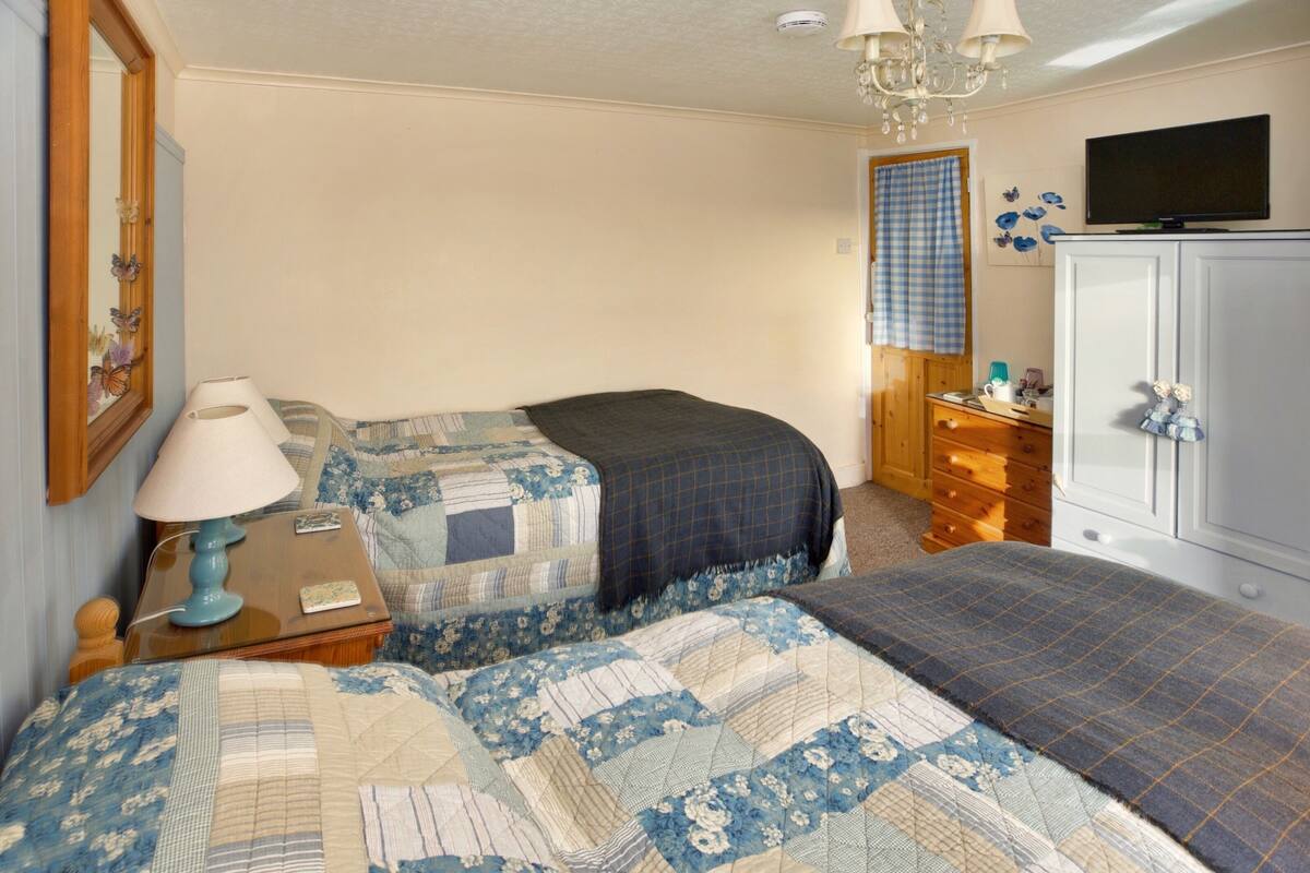 A bedroom with two beds, a dresser, a television, and a chandelier.
