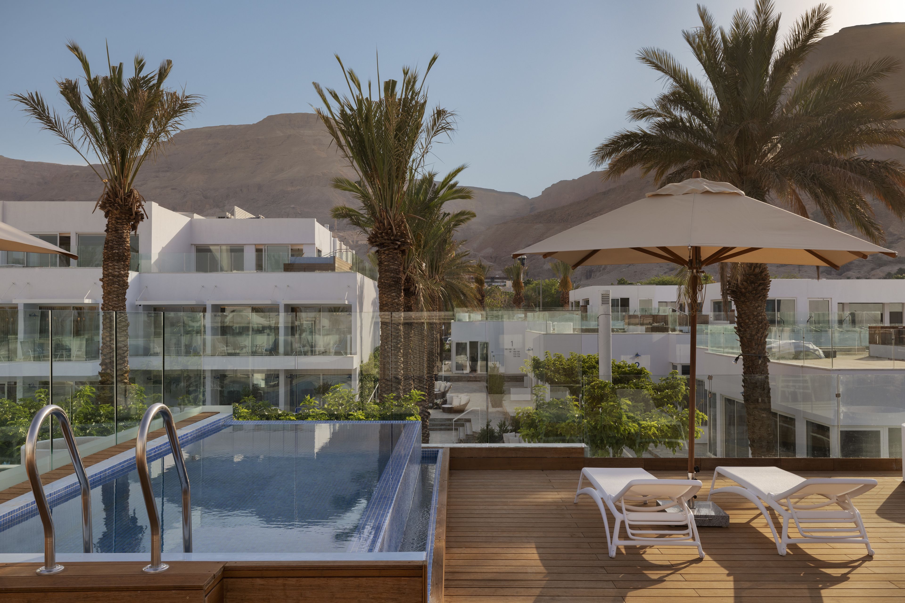 A rooftop pool with lounge chairs and umbrellas, surrounded by palm trees and modern buildings with glass balconies.