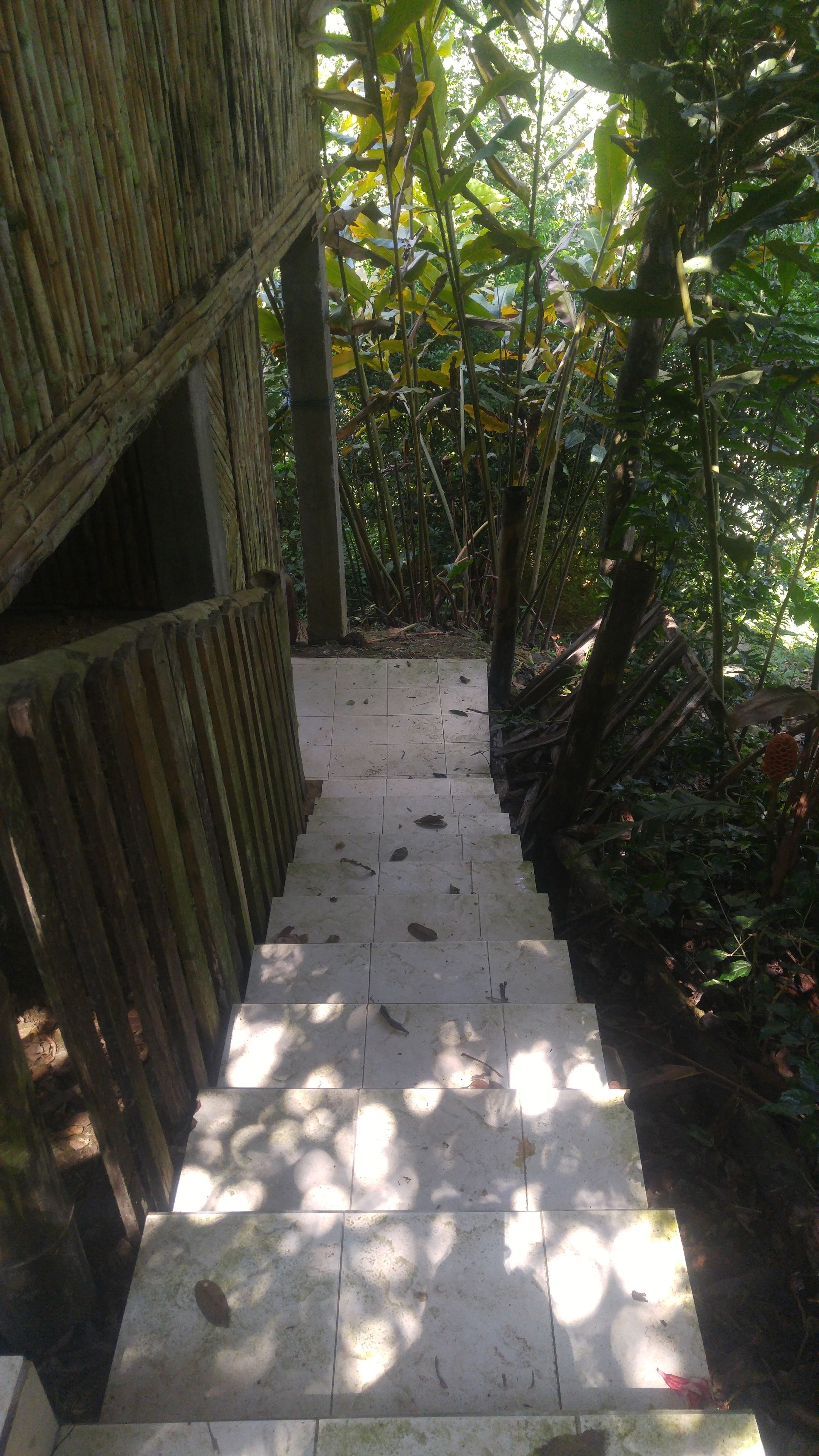 Uma escadaria de pedra estreita que conduz a uma estrutura de bambu.