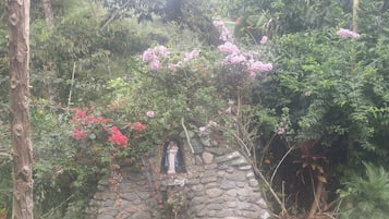 生態遊