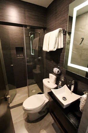 Room | Bathroom | Shower, rainfall showerhead, free toiletries, hair dryer - Oslo 10 (Mexico City)