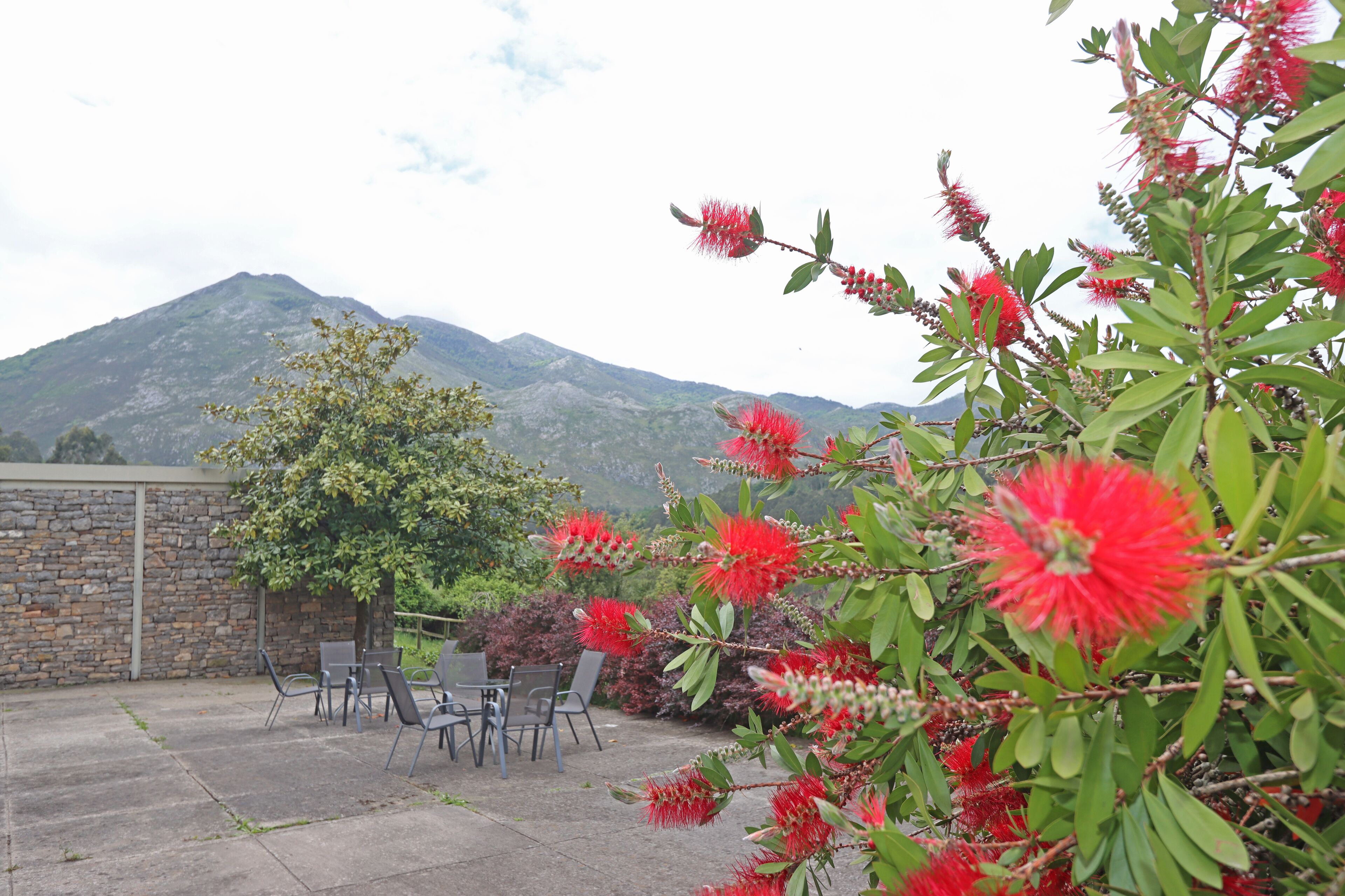 Foto - Hotel El Babú