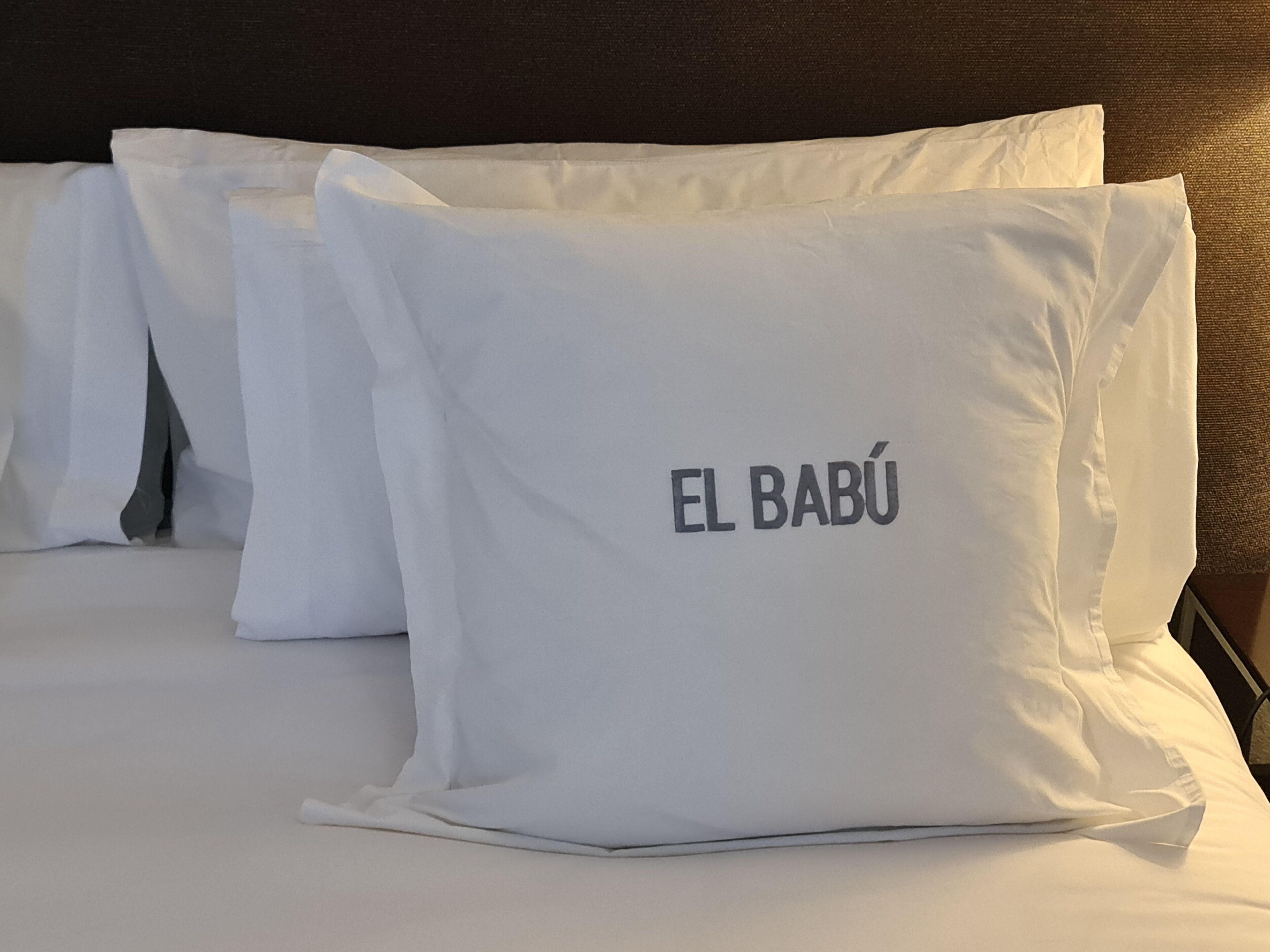 Foto - Hotel El Babú