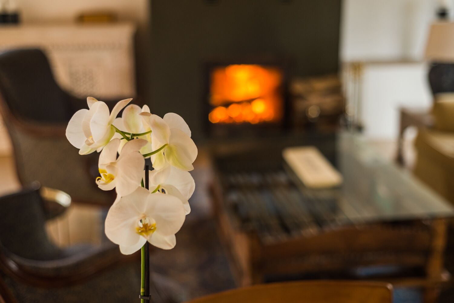 Foto - Hotel El Babú