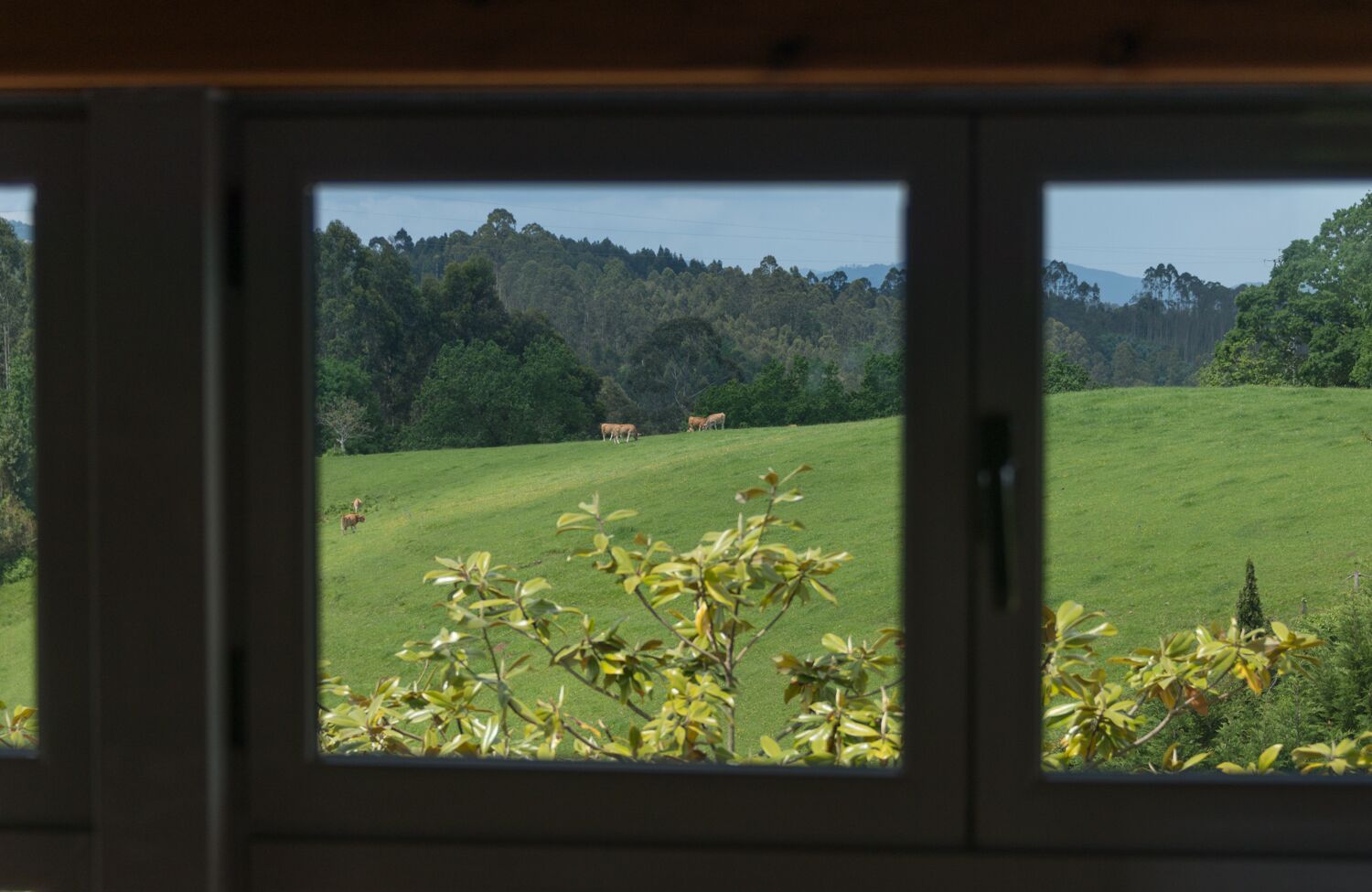 Foto - Hotel El Babú