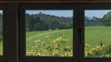 A view through a window of a green field with trees in the background.