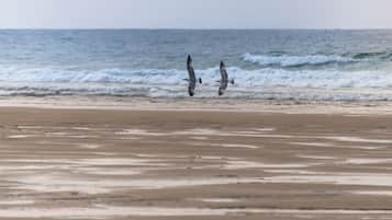 Perto da praia