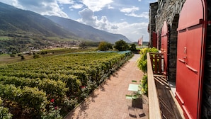 A vineyard path with red wine barrels, a stone building, and a mountain in the background. - Castel de Daval (Sierre)