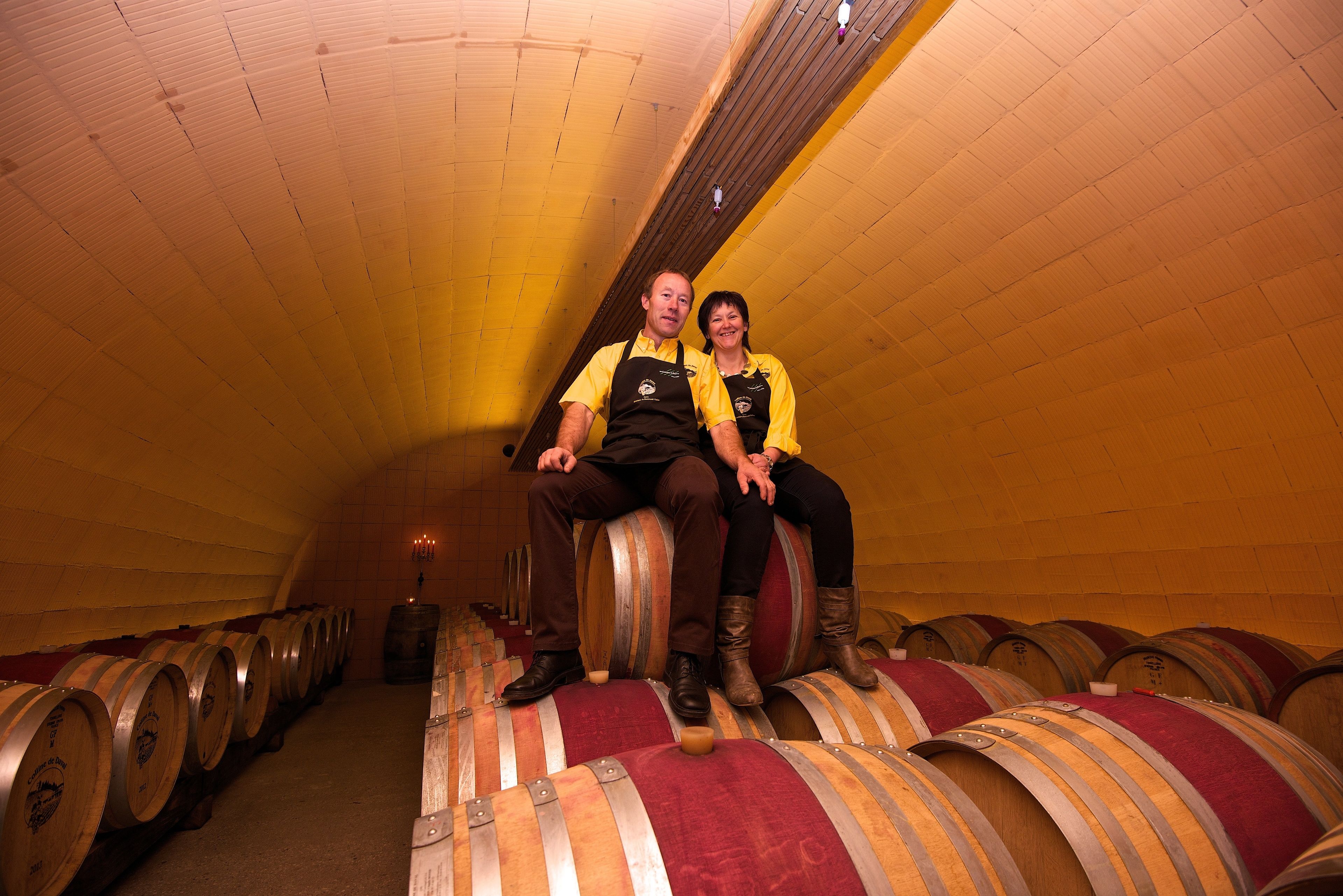 A row of wooden barrels in a dimly lit room with a sloped ceiling.
