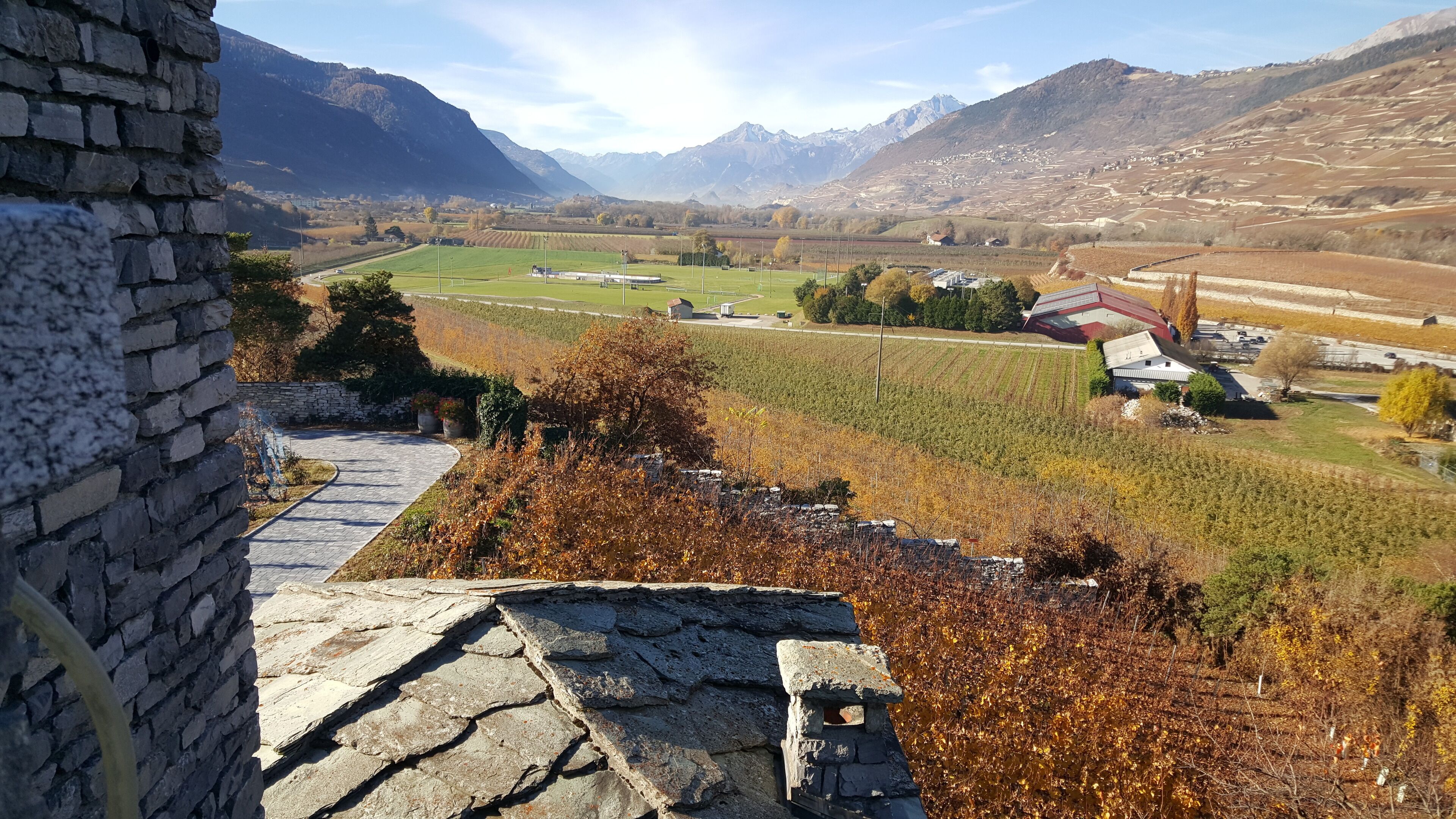 A stone building with a paved pathway leading to a vineyard.