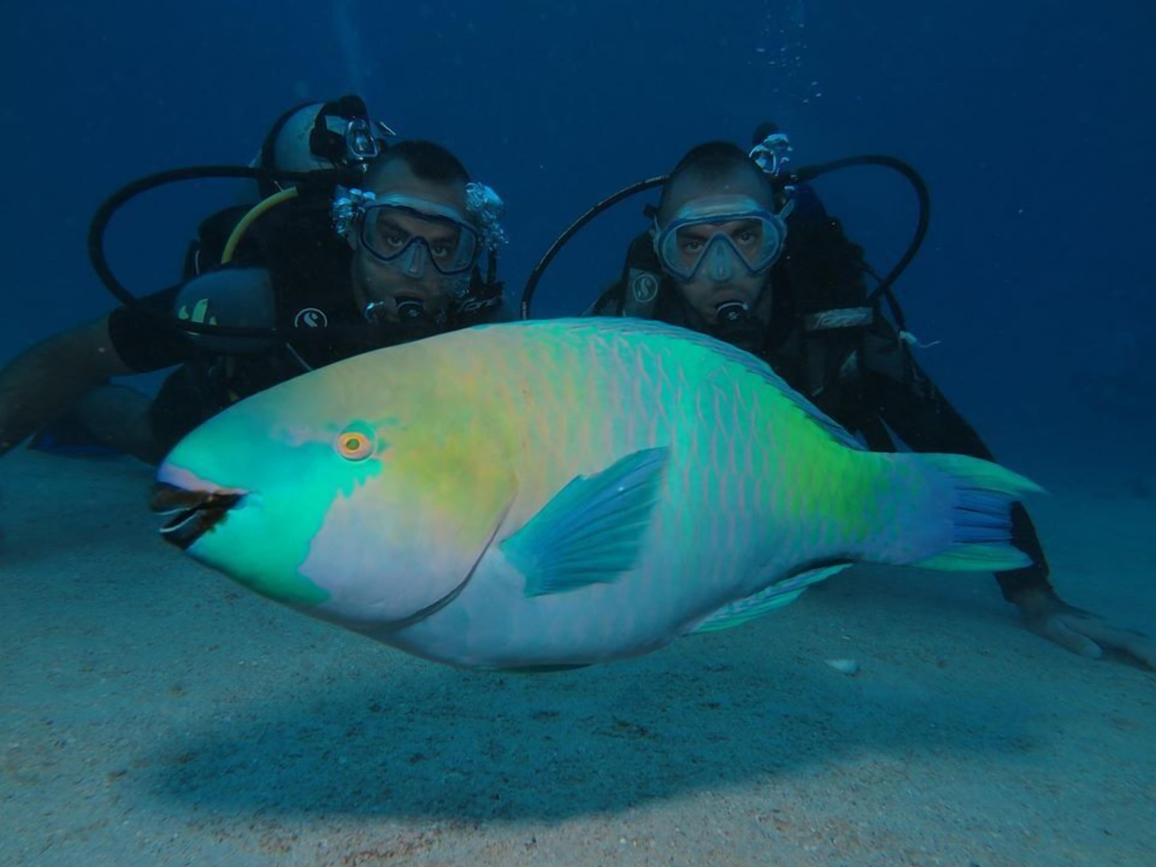 สถานที่น่าสนใจ