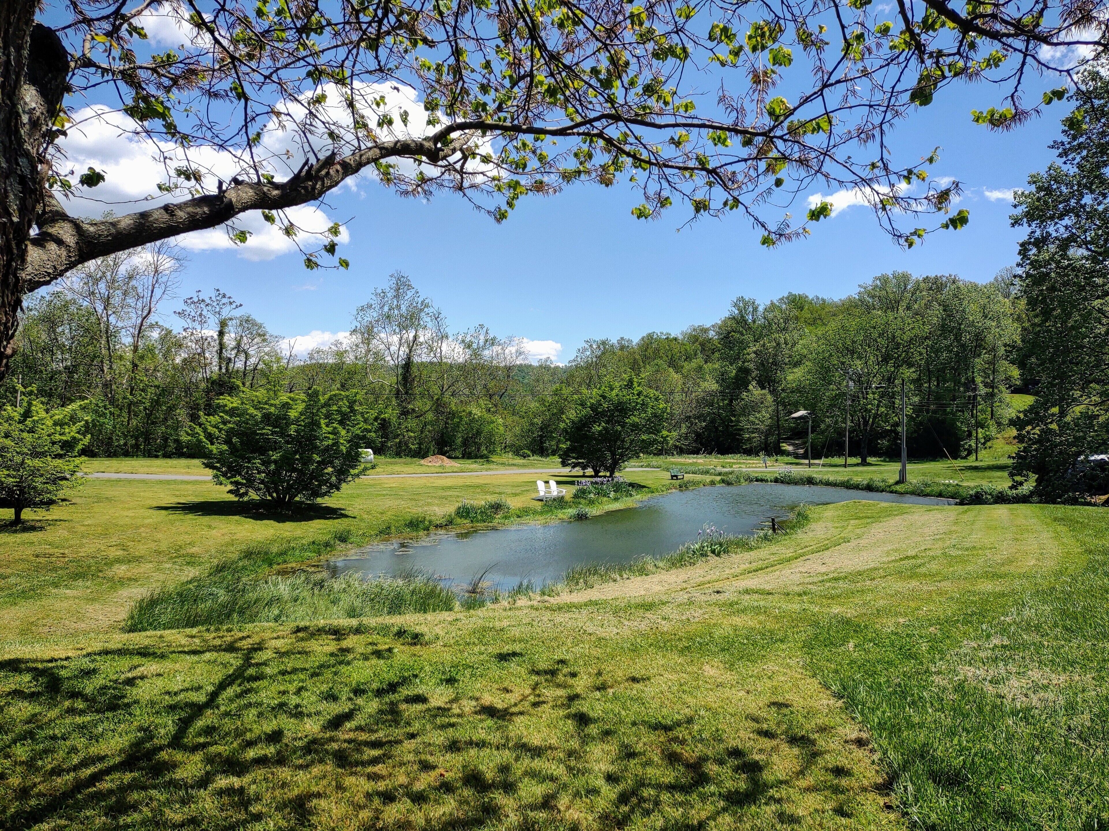 A serene park with a pond, lush greenery, and a clear blue sky.