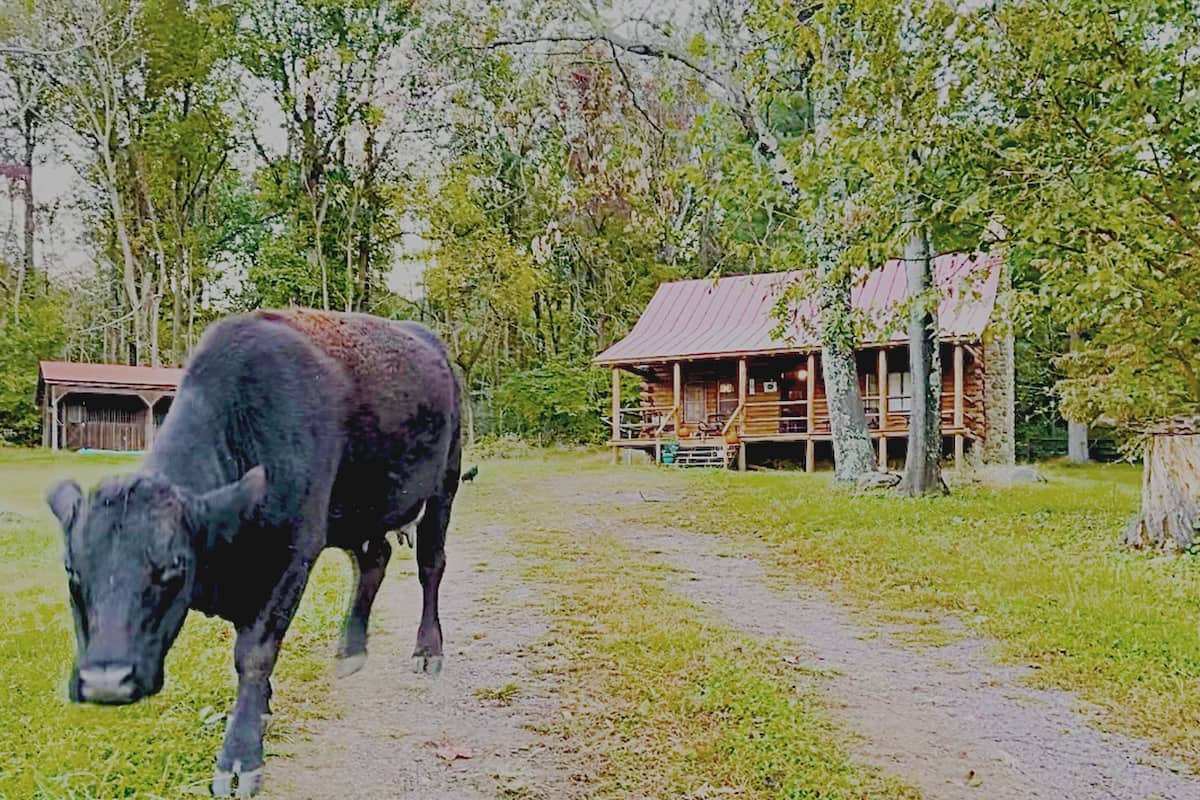 Joanie's Place | Front of property