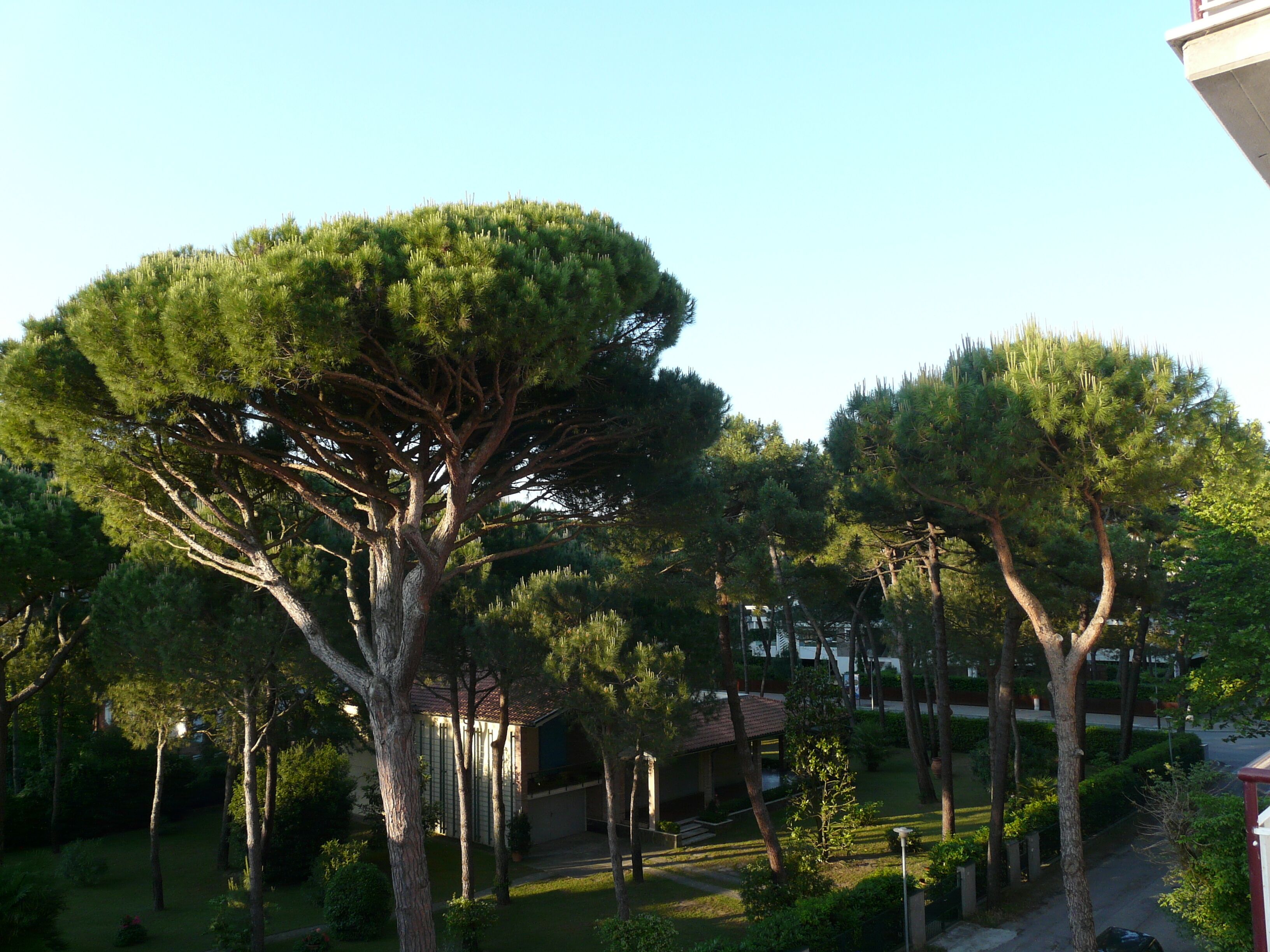 quadruple room | view from room