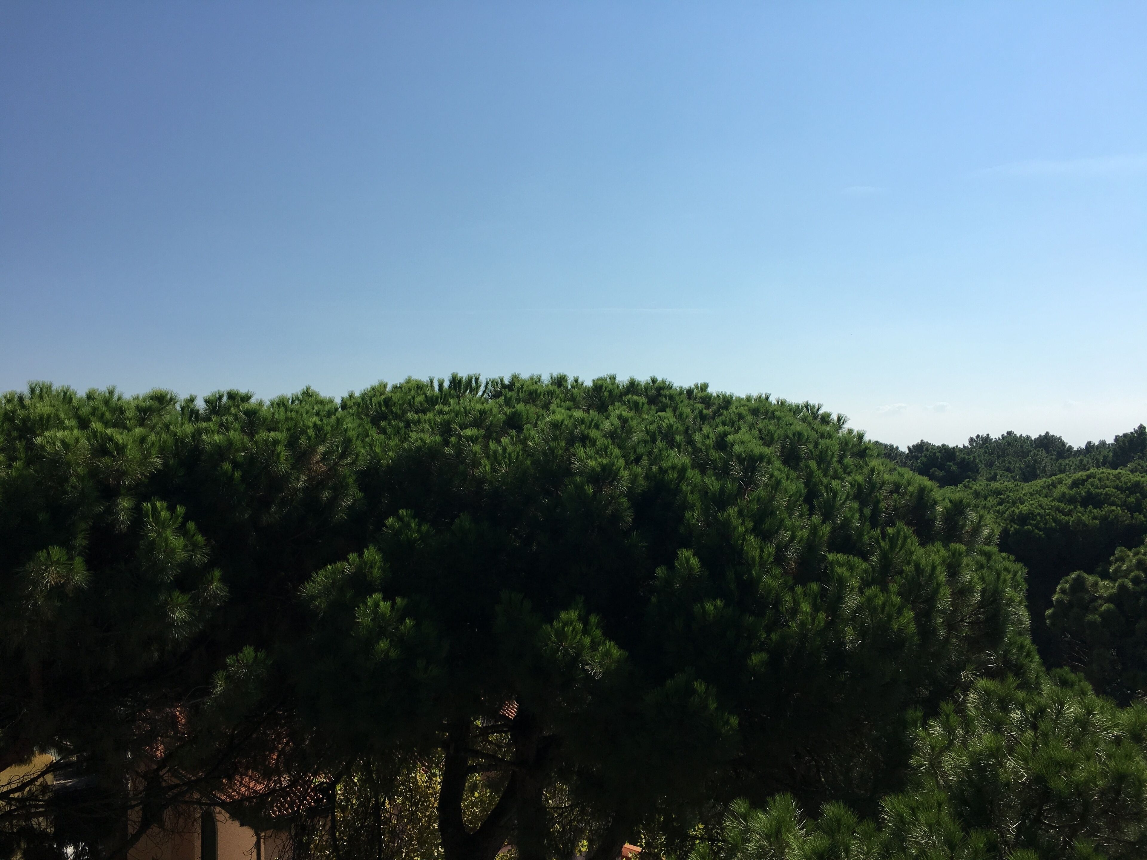 superior room | view from room