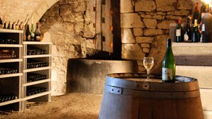 Una bodega con paredes de piedra, barriles de madera y estantes llenos de botellas de vino.