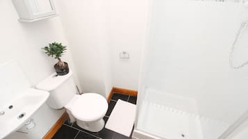 Apartamento, 1 cama de casal e sofá-cama | Banheiro | Chuveiro, toalhas de banho
